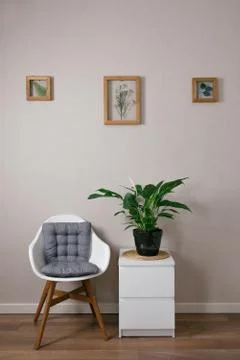 Master of the frame of flowers. Framing dried plants. Stock Photos