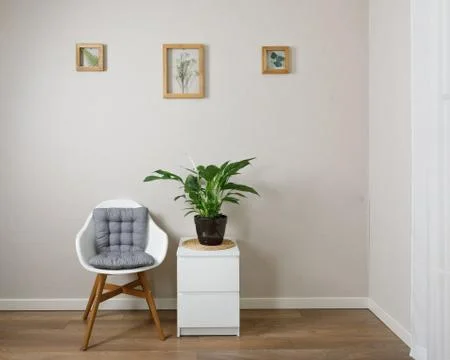 Master of the frame of flowers. Framing dried plants. Stock Photos