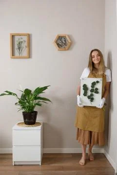 Master of the frame of flowers. Framing dried plants. Stock Photos