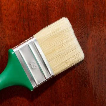 Master holds a big brush for applying varnish to furniture. Such a brush pa.. Stock Photos