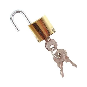 Master key and keys isolated on white Stock Photos