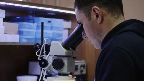 Master looks through a microscope, soldering Stock Footage 84941251
