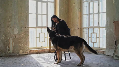Master plays with a German Shepherd in the apartment. An Asian woman dressed in Stock Footage 142316112