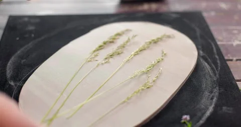 The master puts leaves for imprint on the clay board. Create handmade Stock Footage 155652691