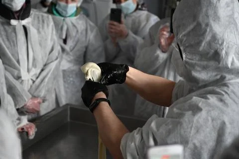 Master shows hands making cheese Stock Photos