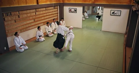 Master, students and martial arts in Japan for karate, kung fu and practice with Stock Footage 293075218