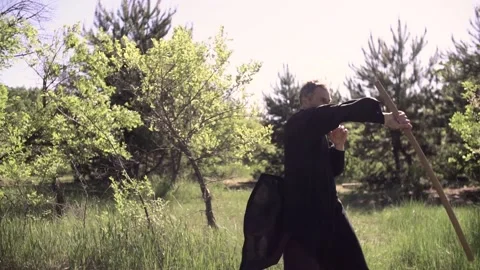 Master tai Chi practices kung fu with a stick in nature Stock-Footage 132471773