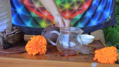 Master of tea does the tea ceremony with the tea set Stock Footage 77080541