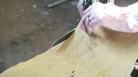 Master at work Stock Footage 22024715