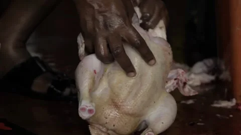 Mastering the Art of Chicken Preparation - A Step-by-Step Guide Stock Footage 320945094