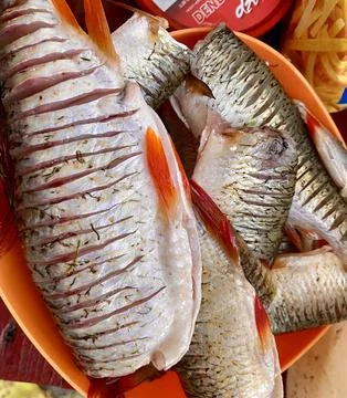 Mastering the Art of Fish Cutting Stock Photos