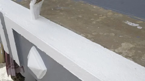 Mastering the Art of Painting - A Step-by-Step Guide to Painting a Wall Video stock 314482105