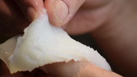 Mastering sushi preparation with fresh fish in Japanese cuisine Stock Footage 320198826
