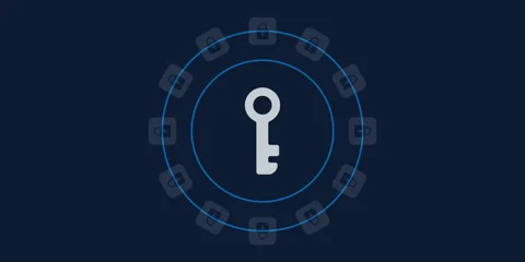 Masterkey Stock Footage 328768445