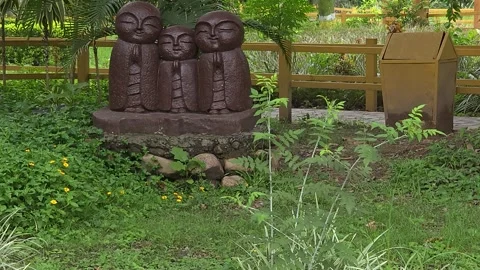 Masterpieces in Statue Form Stock Footage 313565234