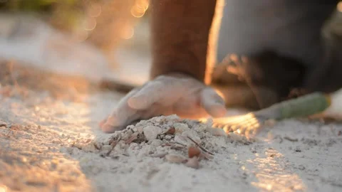 Mastic tree harvest Video stock 170875070