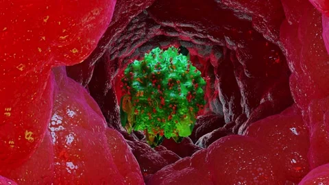 Mastocyte, Mast cell, 3d render Stock Footage 145933422