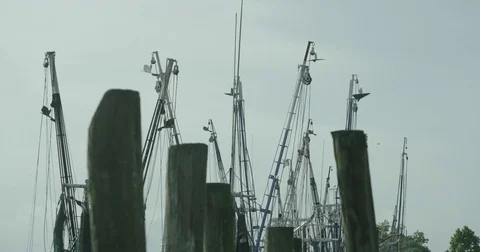 Masts of Docked Boats 4K Vídeos de archivo 84000283
