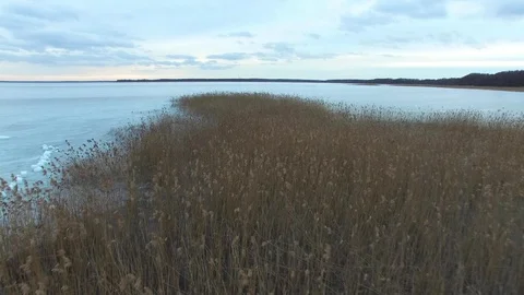 Masuria in winter, lake covered with ice, aerial view Stock Footage 85621082