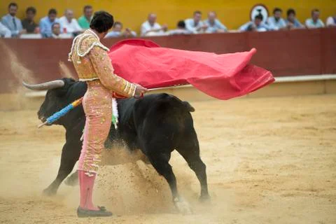 Matador Stock Photos