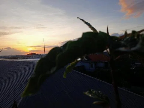Matahari terbit 写真素材