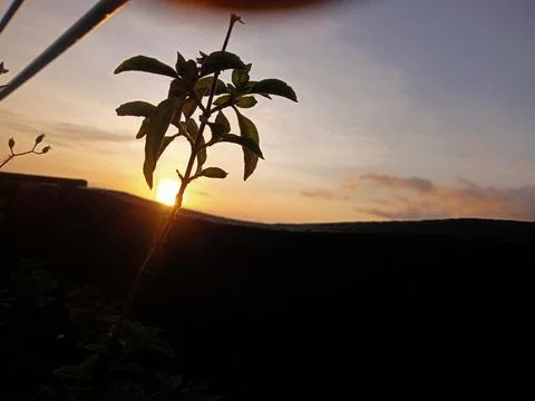 Matahari terbit 写真素材