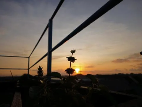 Matahari terbit 写真素材