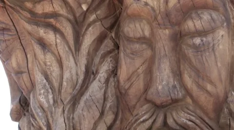 Matala tree Stock Footage 68971469