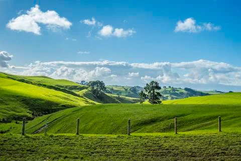 Matamata farm Stock Photos