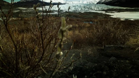 Matanuska Glacier Timelapse Stock Footage 310563046