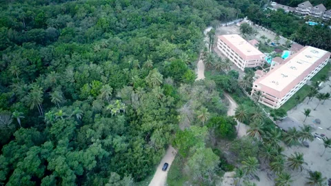 Matas Vídeos de archivo 155132300