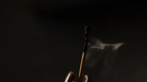 Match flame burning isolated on black background. Media. Wooden stick burns and Stock Footage 223192194