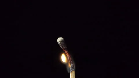 Match flame ignition and burning in slow motion Stock Footage 222786603