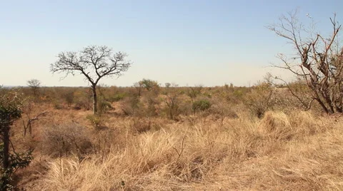 Match Frame Afsaal winter 01 (we film with permission inside National Parks, Video stock 50518413