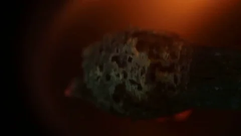 Match Head Lit on Fire 2 Stock Footage 74512921