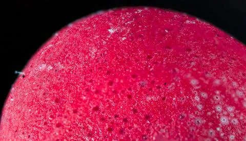 Match head macro. Foto stock