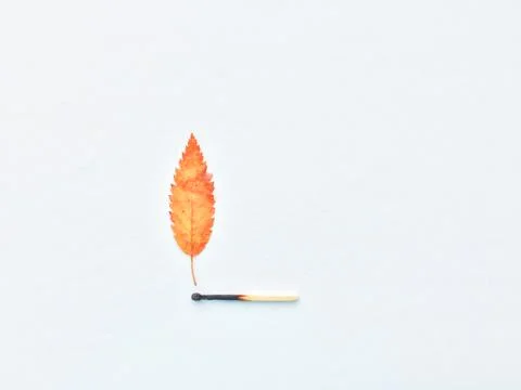 A match that sets fire to a forest, a match, and an autumn leaf. a burning match Stock Photos