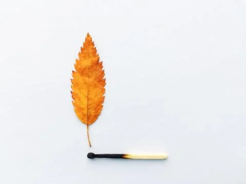 A match that sets fire to a forest, a match, and an autumn leaf. a burning match 스톡 사진