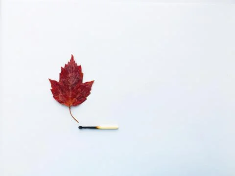 A match that sets fire to a forest, a match, and an autumn leaf. a burning match Stock Photos