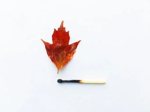 A match that sets fire to a forest, a match, and an autumn leaf. a burning match Stock Photos