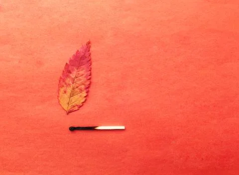 A match that sets fire to a forest, a match, and an autumn leaf. a burning match Stock Photos