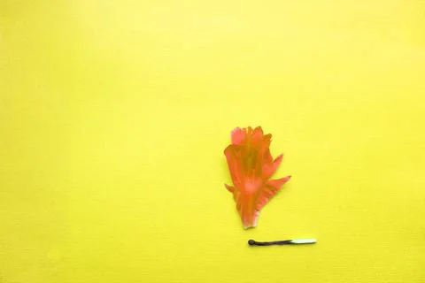 A match that sets fire to a forest, a match and an autumn leaf. a burning match Stock Photos