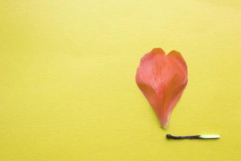 A match that sets fire to a forest, a match and an autumn leaf. a burning match Stock Photos