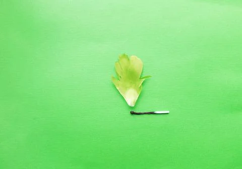 A match that sets fire to a forest, a match and an autumn leaf. a burning match Stock Photos