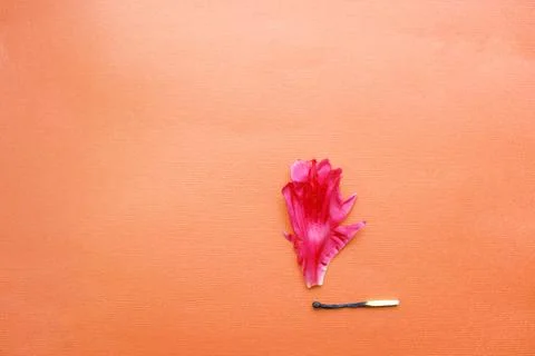 A match that sets fire to a forest, a match and an autumn leaf. a burning match Stock Photos