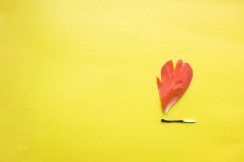 A match that sets fire to a forest, a match and an autumn leaf. a burning match Stock Photos