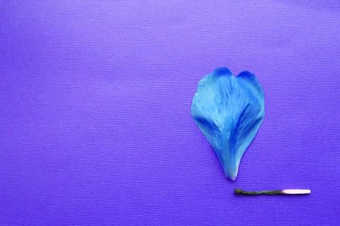 A match that sets fire to a forest, a match and an autumn leaf. a burning match Stock Photos