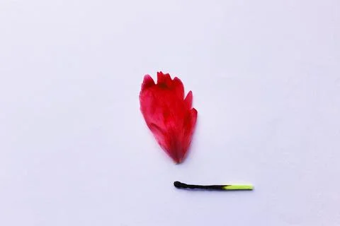 A match that sets fire to a forest, a match and an autumn leaf. a burning match Stock Photos