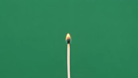 The Match Stick Ignites and Burns on a Green Background Close-Up Stock Footage 263962931
