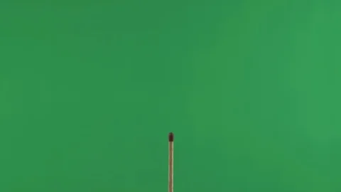Match Stick Magically Combusts Into Flames And Ignites On Fire Green Stock Footage 105547248